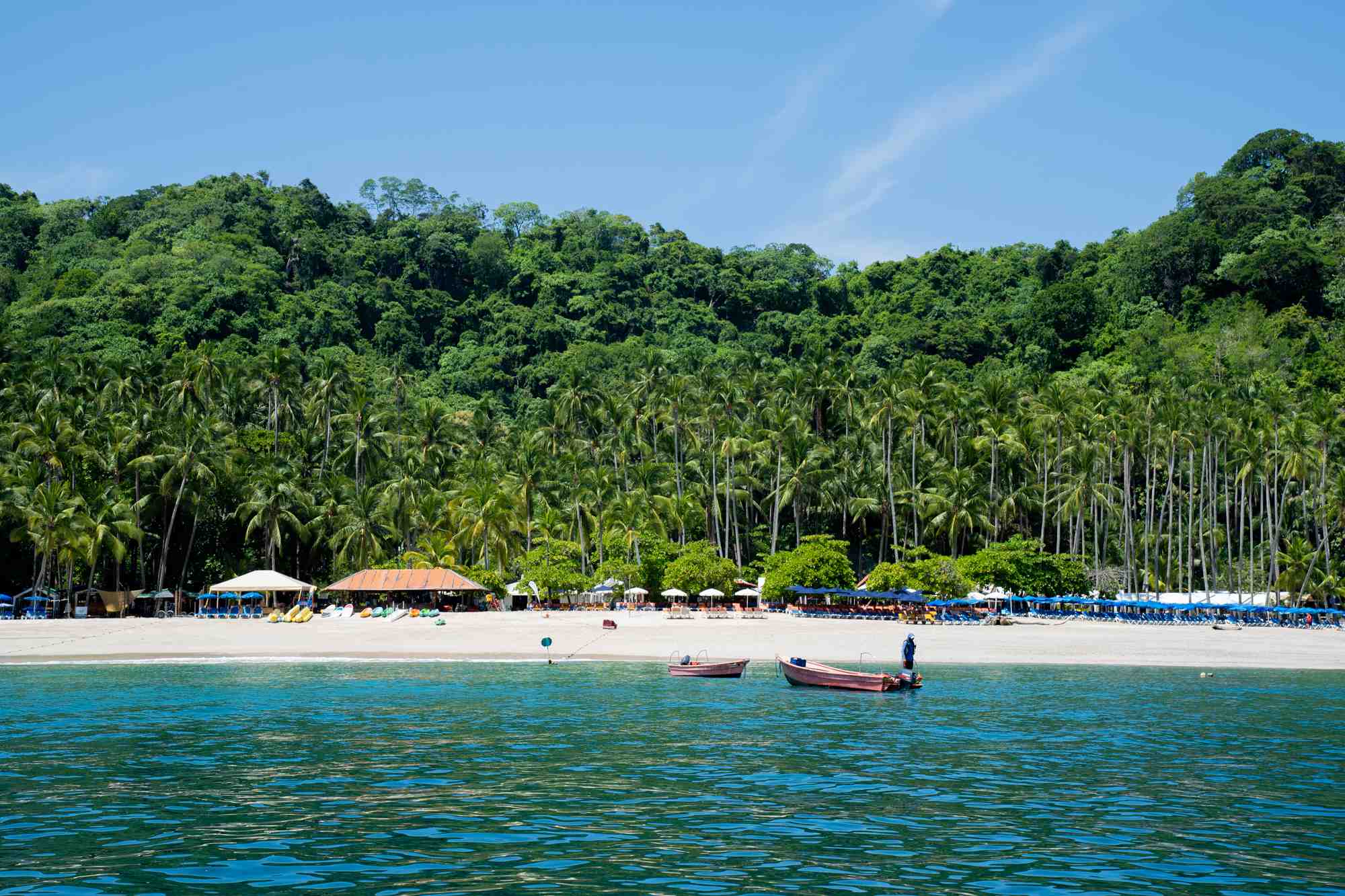 Tortuga Island, Snorkeling, Sunset & Bioluminiscense