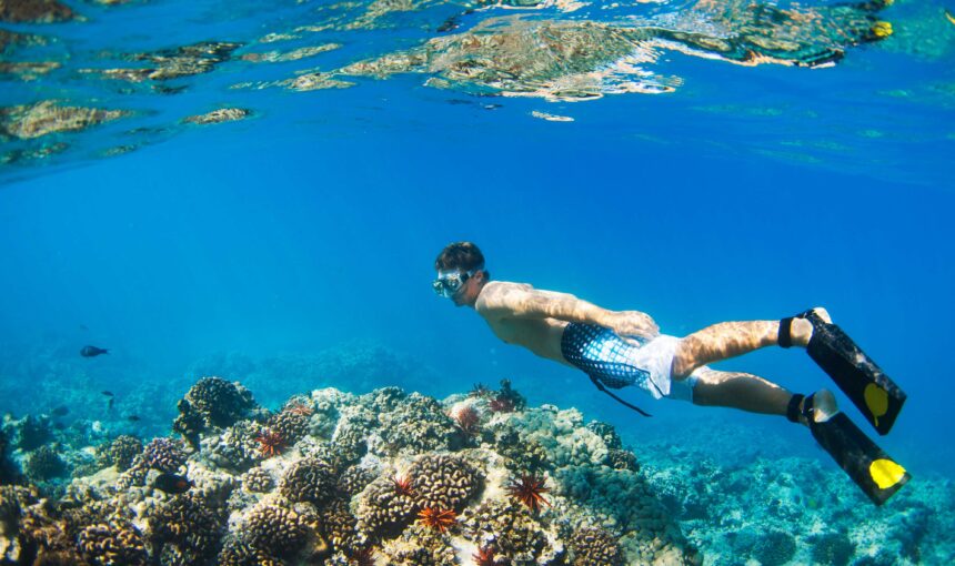 Tortuga Island & Snorkeling Tour